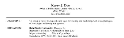 Business administration graduate, with solid knowledge of public communications, social media, and standard business management techniques. Should I Use A Resume Career Objective In My Resume