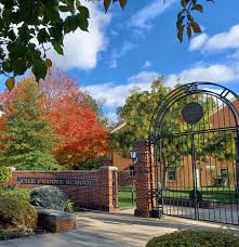 Image result for Peddiea