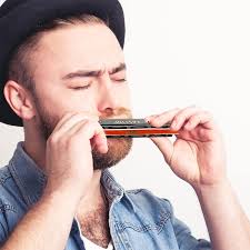 East Top 24 Hole Tremolo Harmonica Key of C, armonica professionale per  adulti, musicisti e studenti (T2406K-C) : Amazon.it: Strumenti Musicali