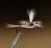 Parachute Adams - Dry Fly - Rocky River Trout Unlimited