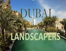 We do lawn maintenance and snow removal both residentially and commercially. The 6 Best Landscaping Companies In Uae 2021