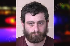 Tristan Mann — Walker County Jail Bookings