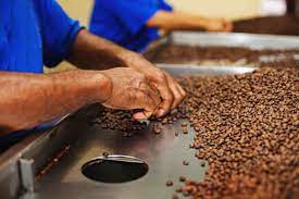 Informații pentru expatriați, ghiduri de țară, comunitate pentru expatriați, locuri de muncă pentru expatriați și proprietate internațională. Arhive Fabrici Oferte Munca