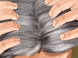Has been added to your cart. How To Maintain Silver Hair 15 Steps With Pictures Wikihow