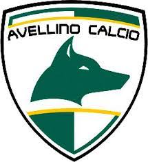 Ternana calcio vector logo in.ai format. Us Avellino 1912 Logopedia Fandom