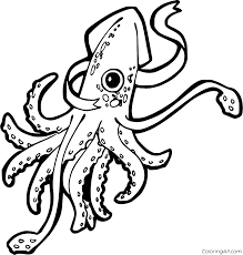Show your kids a fun way to learn the abcs with alphabet printables they can color. Squid Coloring Pages Coloringall