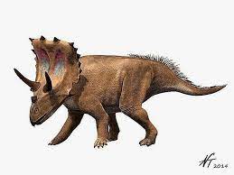 Bone injuries indicate that it may have had arthritis and perhaps even sustained head palaeontologists believe that the dinosaur is a new species, called spiclypeus shipporum, with a head adorned with a spiky 'shield' of bone. Profiles And Pictures Of Horned Frilled Dinosaurs