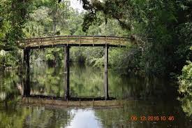 I took my wife here on our first date and we even took our engagement photos here. The Stationary Bridge Picture Of Hillsborough River State Park Thonotosassa Tripadvisor