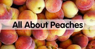 Pin On Fresh Fruits And Veggies