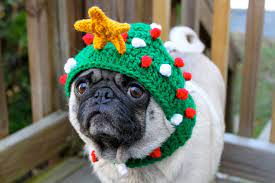 Dog Hat Oh Christmas Tree Made To Order Etsy Dog Hat Christmas Tree Hat Pugs