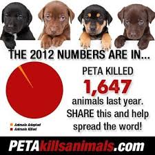Peta Kills Animals Help To End Peta S Status As An Animal Care2 News Network Please Sign And Share Petit Stop Animal Cruelty Network For Good Animals