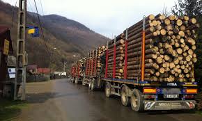 „faţă de anul 2016, am mărit cu 20% cantitatea de lemn de foc. Pahontu Romsilva Circa Un Milion De Mc De Lemn De Foc Vom Livra Populatiei Pana La Finele Anului Ziarmm
