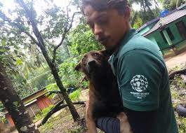 Image result for kerla flood