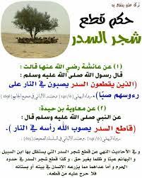 pin by الأثر الجميل on أحاديث نبوية ahadith hadith hadeeth