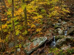 Monte sano mountain, (elevation 1,621 ft) just to the east of downtown huntsville, is the most well known local mountain top and hosts, the monte sano state park. Spring Hiking At Huntsville S Monte Sano Mountain
