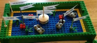 Pin By Mb Lupoli On School Projects Plant Cell Project Plant Cell Model Animal Cell Project