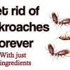 How does roach spray actually work? 1
