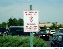 funny no parking signs 30 pics izismile com funny no parking signs 30 pics