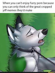 When you can't enjoy furry porn because you can only think of the great cropped  yiff memes they'd make - iFunny