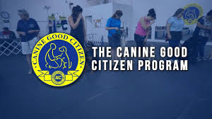We did not find results for: Akc S T A R Puppy Program Rise K9 Dog Training