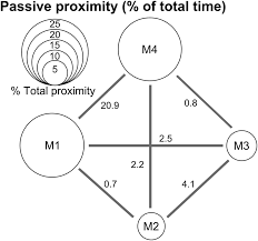 Rudimentary Empathy In Macaques Social Decision Making Pnas