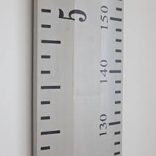 kids rule giant ruler height chart non personalised