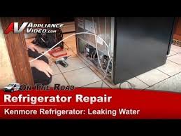 Quick Fix How To Stop Water Collecting In A Fridge Youtube Refrigerator Repair Maytag Refrigerator Maytag Refrigerator Repair