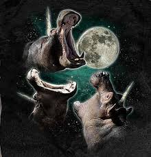 The full moon calendar 2021 and the next full moon including exact date and times are listed below. Image 397088 Three Wolf Moon Know Your Meme