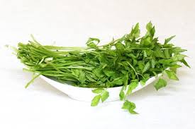 Oenanthe javanica, commonly java waterdropwort, minari, indian pennywort, japanese parsley, water celery, water dropwort and chinese celery. Minari