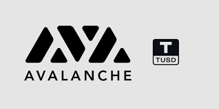 The trueusd team brings together talent from top employers and schools such as stanford, uc berkley, palantir, facebook, google, goldman sachs and paypal. Trueusd To Be First Usd Stablecoin In Avalanche S Defi Ecosystem Coingenius Hosts Virtual Crypto Event