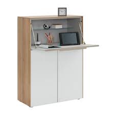 Voleo Sekretar Oregon Regal Schreibtisch Schreibtisch Schrank Aufbewahrung Fur Kleines Badezimmer