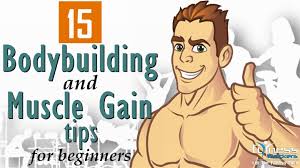 beginners how to gain muscle fast
