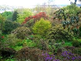 Branklyn Garden Perth Scotland Beautiful Gardens Scotland Garden Trees