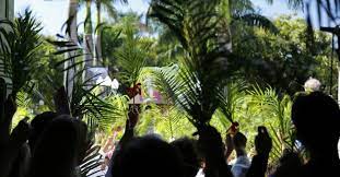 The difficulty of procuring palms for that day's ceremonies in unfavorable climates for palms led to the substitution of boughs of box, yew, willow or other native. When Is Palm Sunday 2021 Date And Meaning