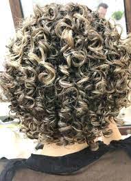 Tame Your Hairstyle Looking After Your Own Lengthy Hair Truly Does Not Need To Be Problematic Pre Short Permed Hair Curly Hair Styles Braided Hairstyles Updo