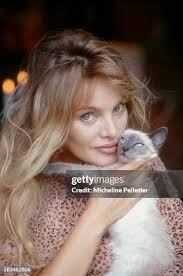 41,174 Celebrities Cat Stock Photos, High-Res Pictures, and Images