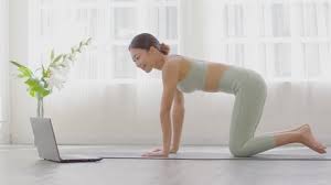 Although the two poses look similar, they have completely different effects and intentions. Cat Cow Pose Yoga Stock Video Footage 4k And Hd Video Clips Shutterstock