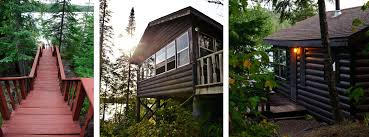 Maybe you would like to learn more about one of these? About Hungry Jack Lodge