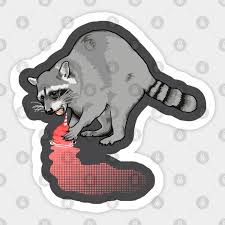 Check out my channel for more videos ! Raccoon Washing His Cotton Candy Raccoon Autocollant Teepublic Fr