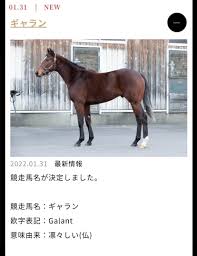 一口 馬主 ブログ シルク