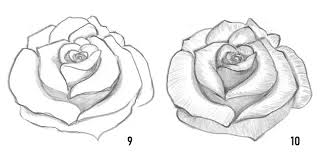 Disegni tumblr fiori bellissimi rosa fatta con matite colorate. 1001 Idee Per Come Disegnare Una Rosa Con Tutorial