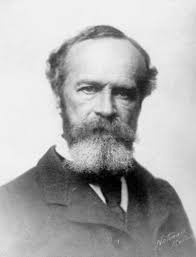 Varieties of Insights: The wisdom of William James