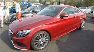 Image result for Hyacinth Red 2016 C