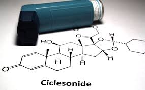Image result for Inhaled Ciclesonide
