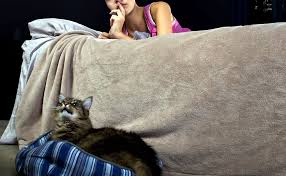 Why won't your cat sleep at night? How To Stop My Cat From Waking Me Up At Night Step By Step Plan Thecatsite Articles