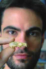 YALE EnVIROnmEnTAL NEWS