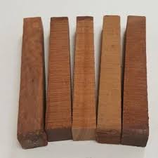 Image result for Xylia torreana