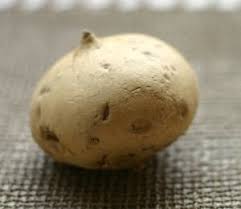 We did not find results for: How To Cook With Turnips Beets Parsnips And More Bettycrocker Com