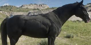 The Best Horse Breeds In Rdr2