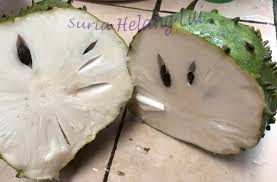 Durian belanda homestay is an accommodation in kelantan. 2019 Suria Helang Lui